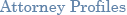 Attorney Profile